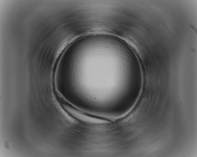 X0000097771333200803141736