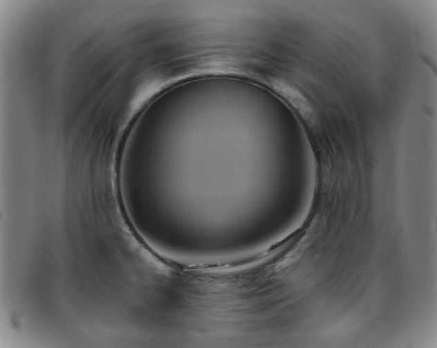 X0000097771334200803141736