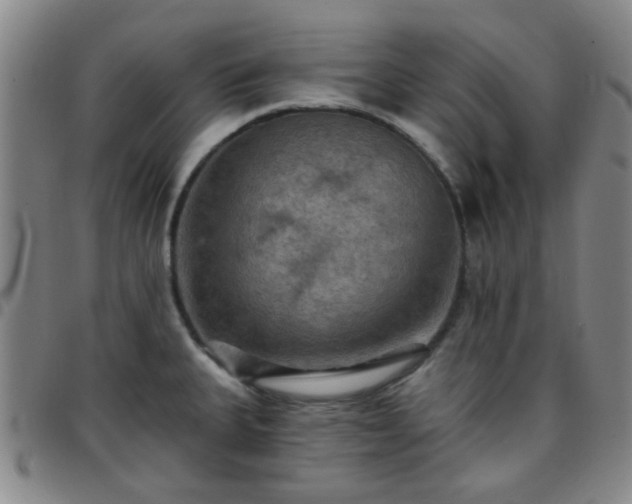 X0000097771335200803141736