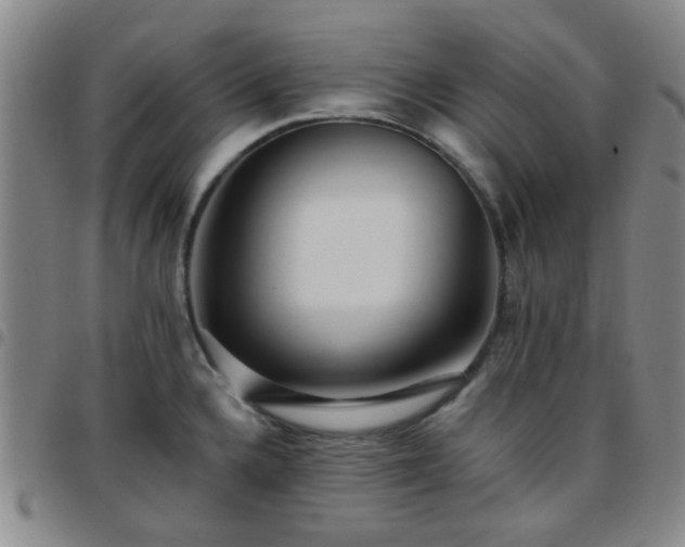 X0000097771336200803141736