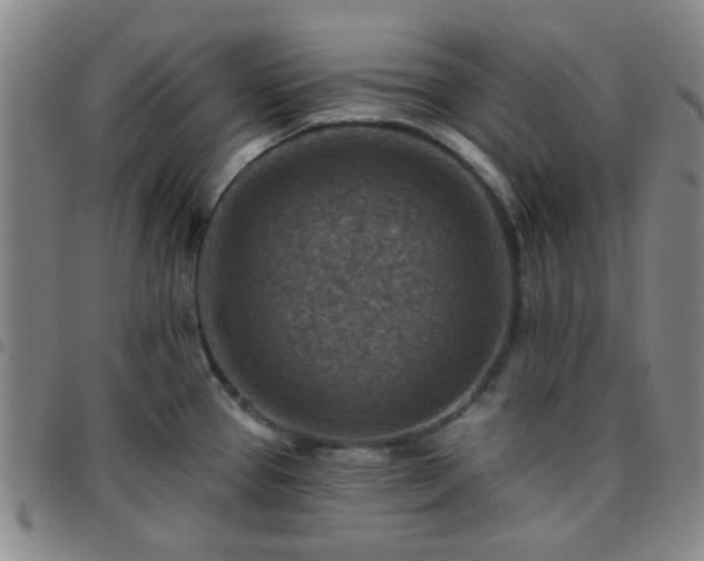 X0000097771337200803141736