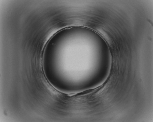 X0000097771340200803141737