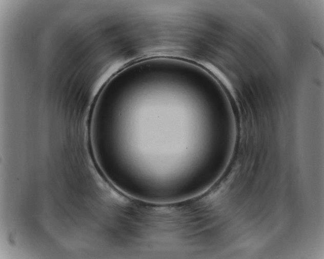 X0000097771341200803141737