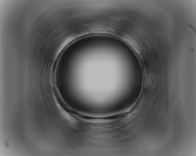 X0000097771342200803141737