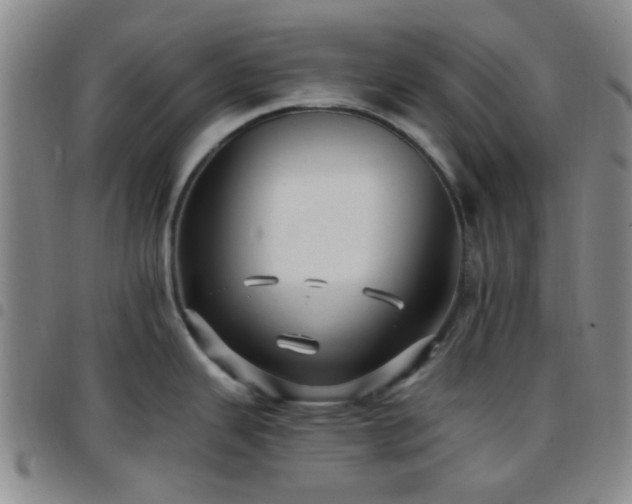 X0000097771343200803141737