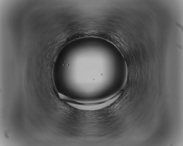 X0000097771345200803141736