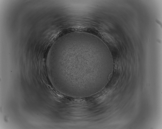 X0000097771346200803141736