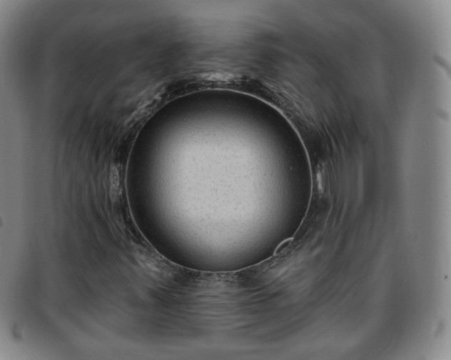 X0000097771347200803141736