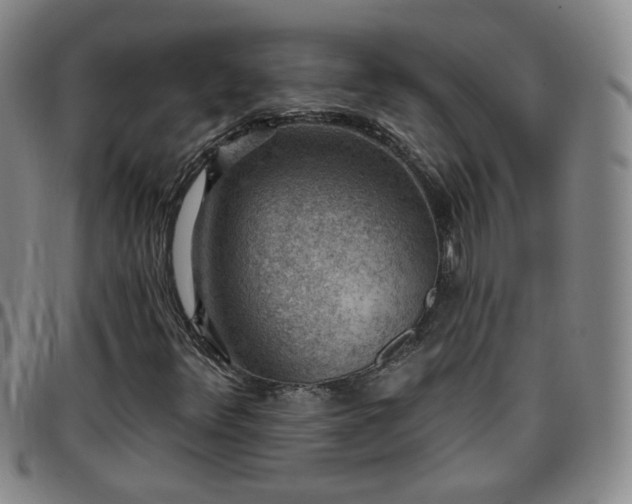 X0000097771348200803141736