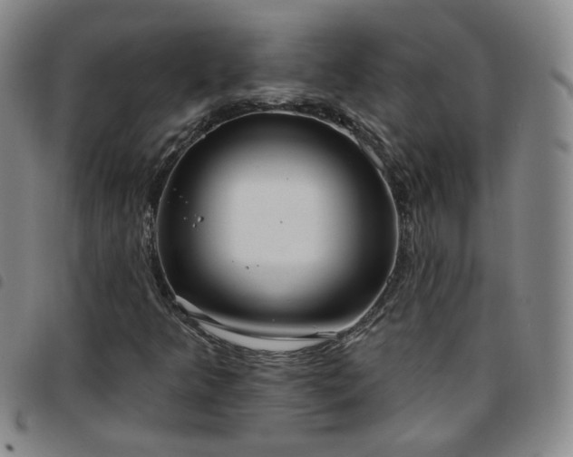 X0000097771349200803141736