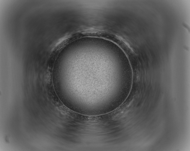 X0000097771350200803141736