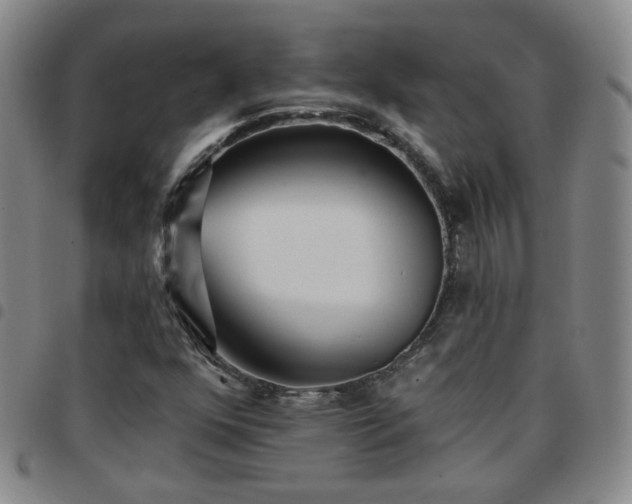 X0000097771352200803141736