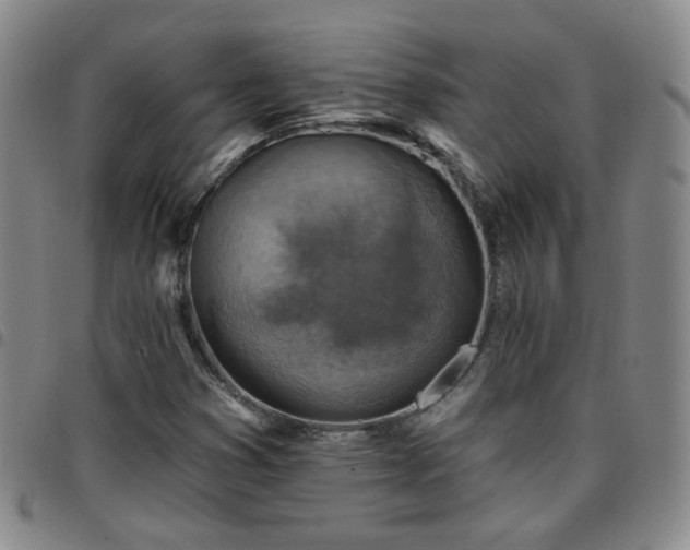 X0000097771353200803141736