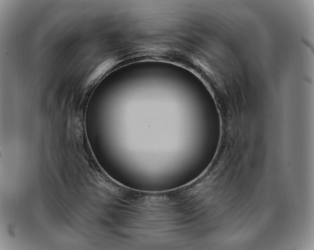X0000097771354200803141736