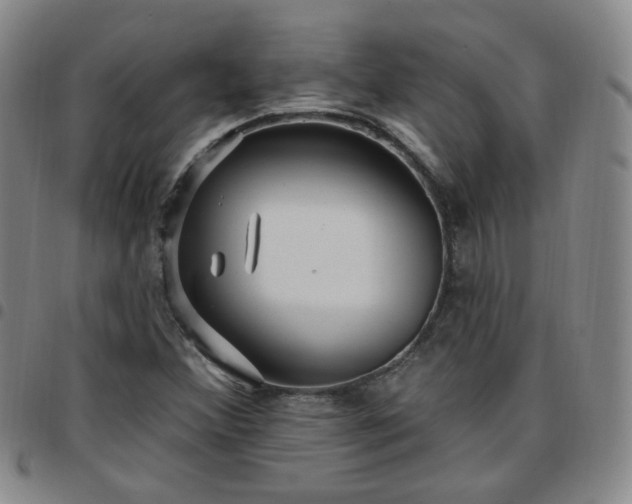 X0000097771356200803141736