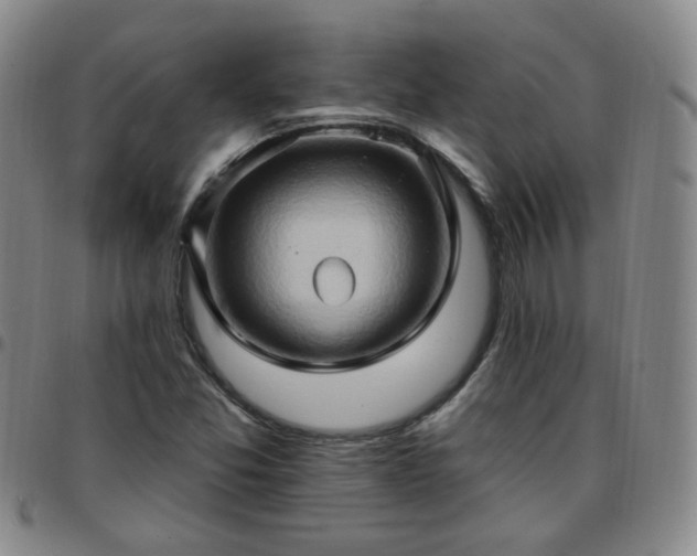 X0000097771357200803141736