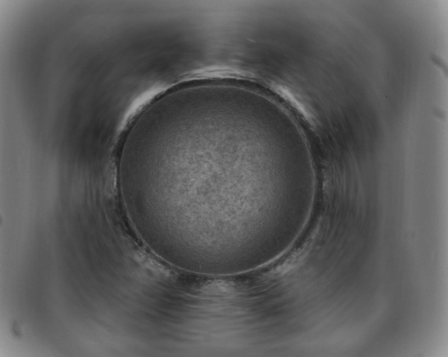 X0000097771358200803141736