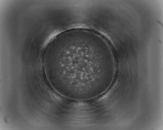 X0000097771359200803141736