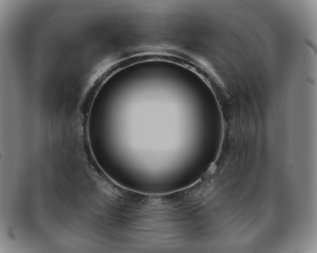 X0000097771360200803141736