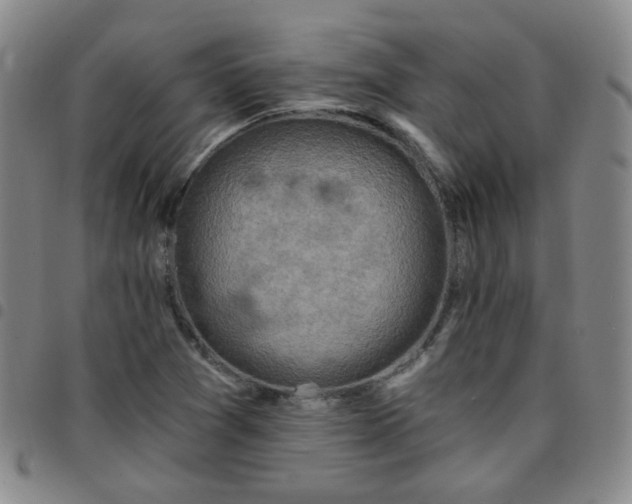 X0000097771361200803141736