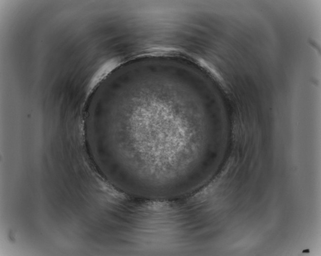 X0000097771362200803141736