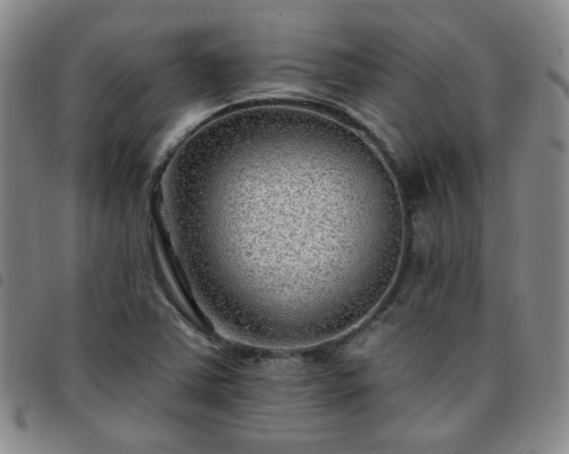 X0000097771363200803141736