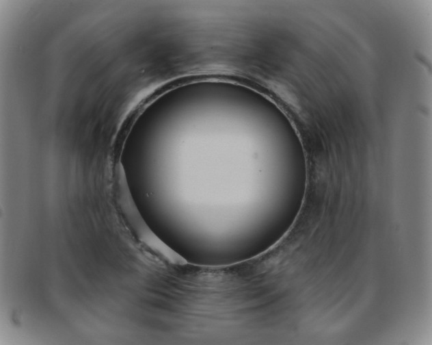 X0000097771364200803141736