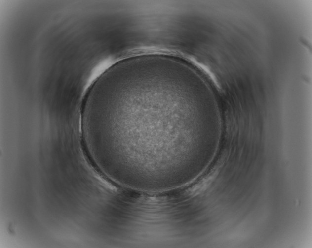 X0000097771365200803141736