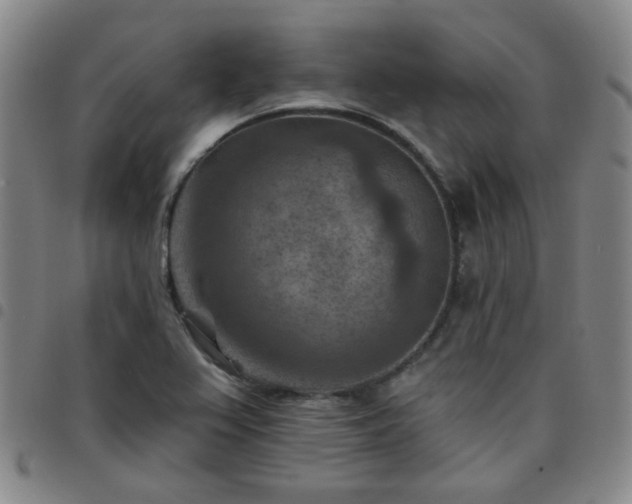 X0000097771367200803141736