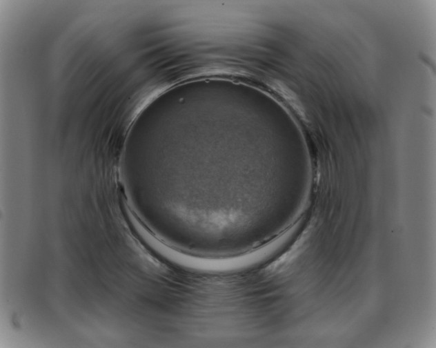 X0000097771369200803141736