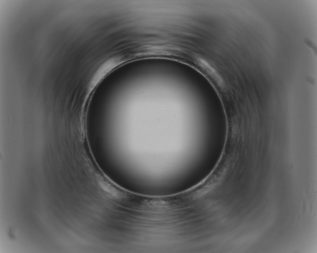 X0000097771370200803141736