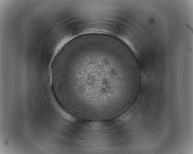 X0000097771371200803141736