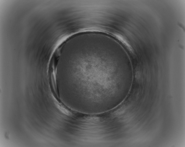 X0000097771372200803141736