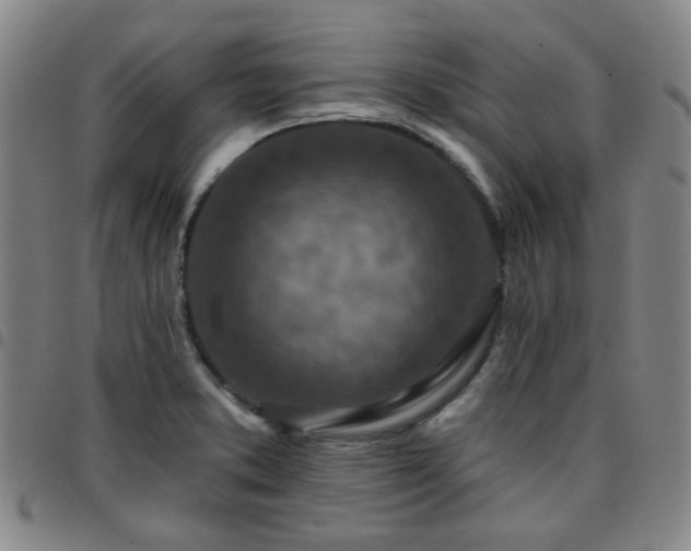 X0000097771373200803141736