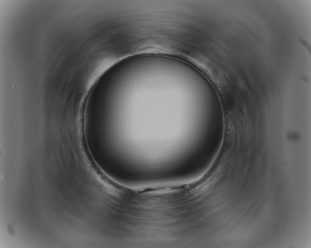 X0000097771375200803141736