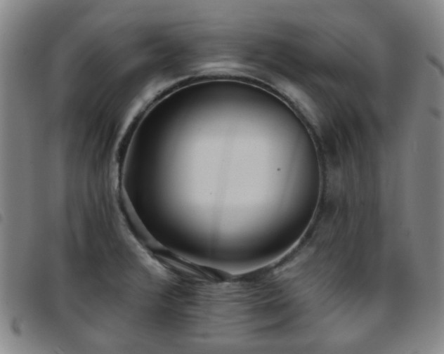 X0000097771376200803141735