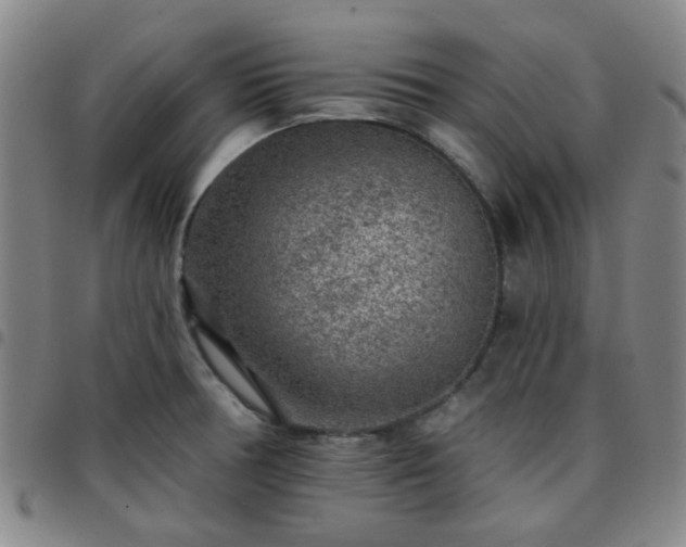 X0000097771378200803141735