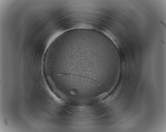 X0000097771379200803141735