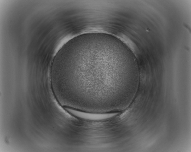 X0000097771382200803141735