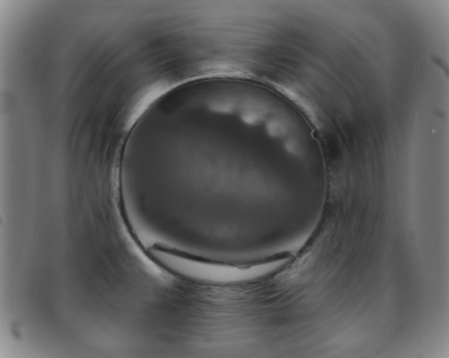 X0000097771383200803141735