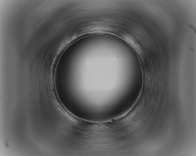 X0000097771384200803141735