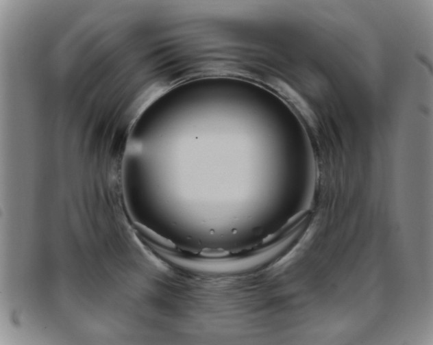 X0000097771385200803141735