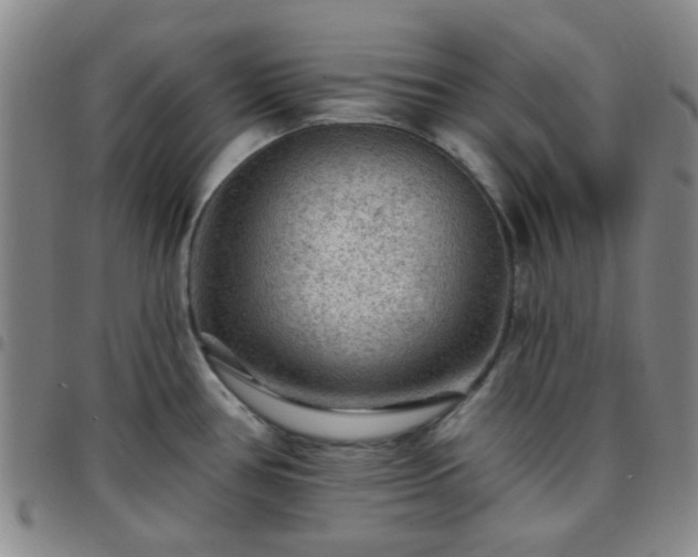 X0000097771386200803141735