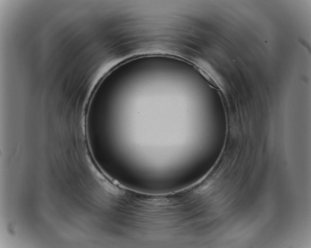 X0000097771388200803141735