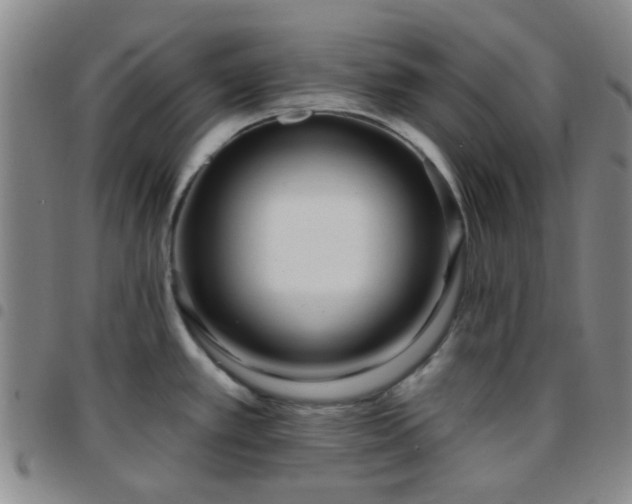 X0000097771389200803141735