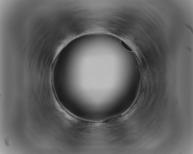 X0000097771390200803141735