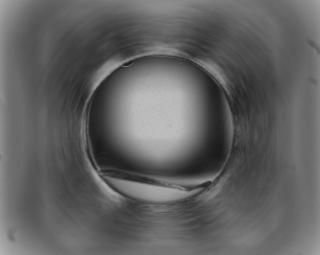 X0000097771391200803141735