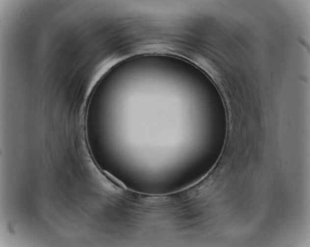 X0000097771392200803141735