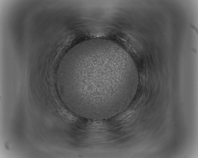 X0000097771393200803141734