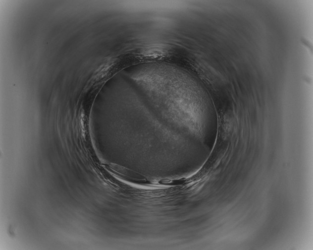 X0000097771394200803141734